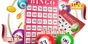 Xổ số miền Bắc tg88